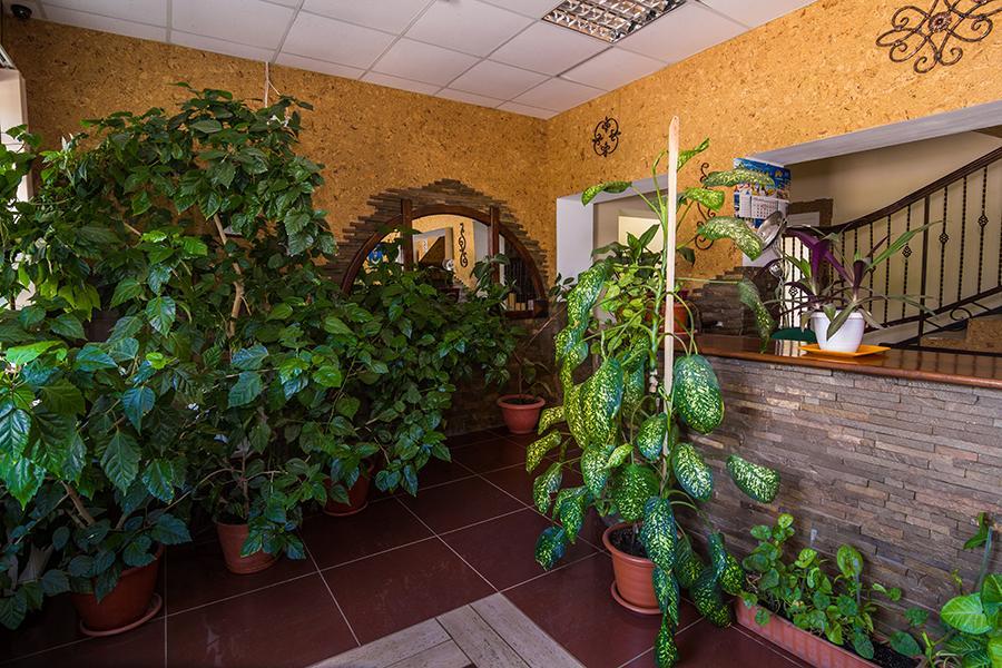 Citadella Hotel Skadovsk Bagian luar foto